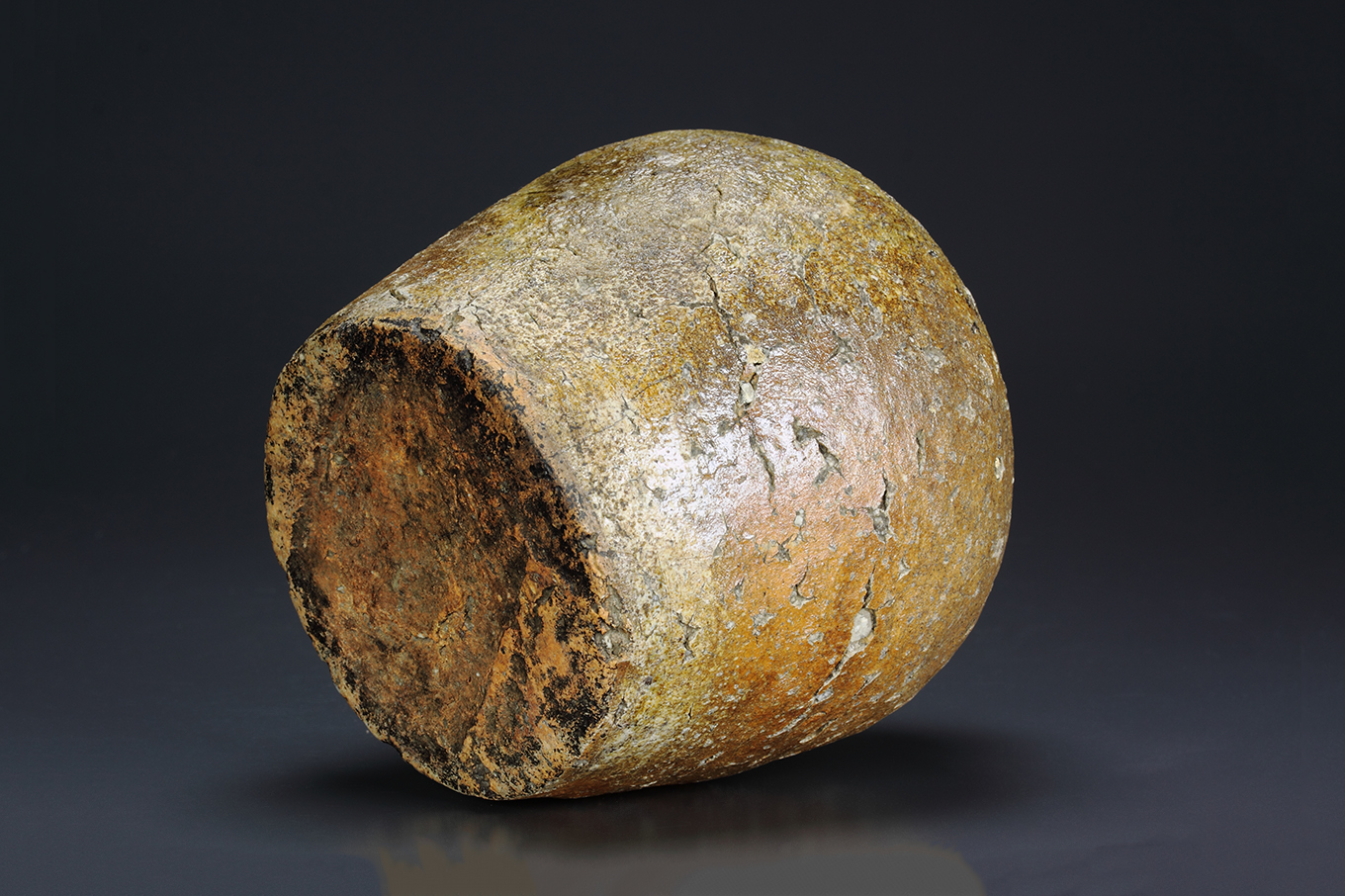 2. 信楽蹲 | やきものの常識は疑いやきものを信じよ！ | ギャラリーラボ