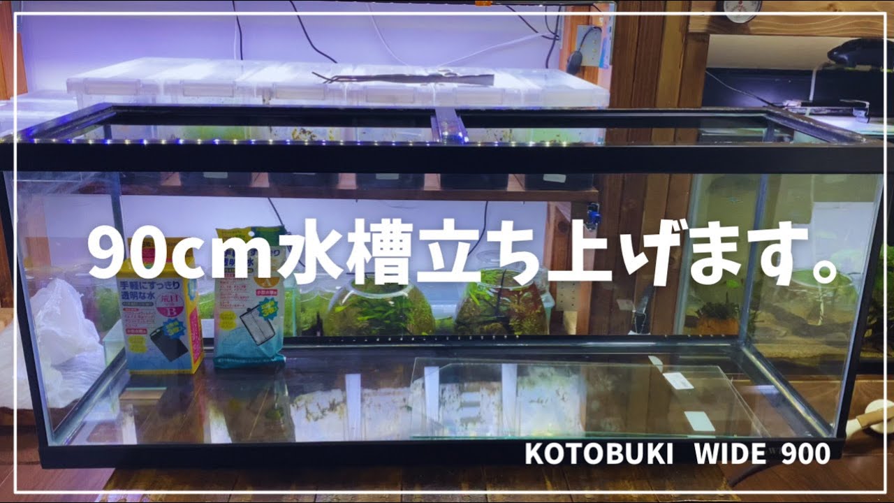 新しく90cm水槽を立ち上げていきたいと思います。 - YouTube