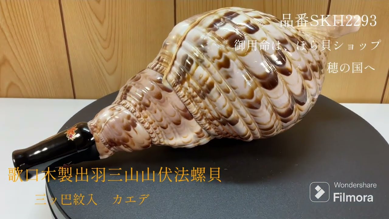 法螺貝（ほら貝）販売のお店