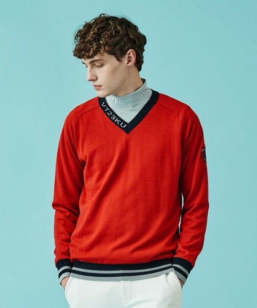 セール】 【MEN】【手洗い可】裏地付き Vネックニット （ニット