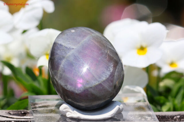 パープルシラー・ホワイトラブラドライト(A784)