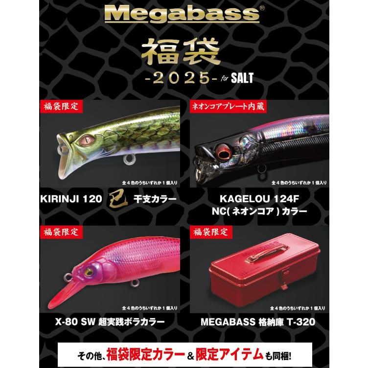 Megabass（メガバス） メガバス/MEGABASS 2025年福袋 for salt (全4
