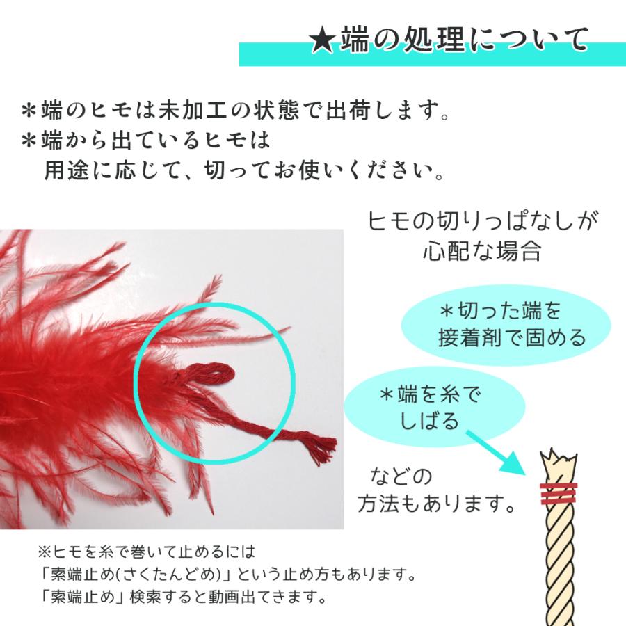 1PLY／オーストリッチ 羽毛 フロート ハンドメイド材料 社交ダンス