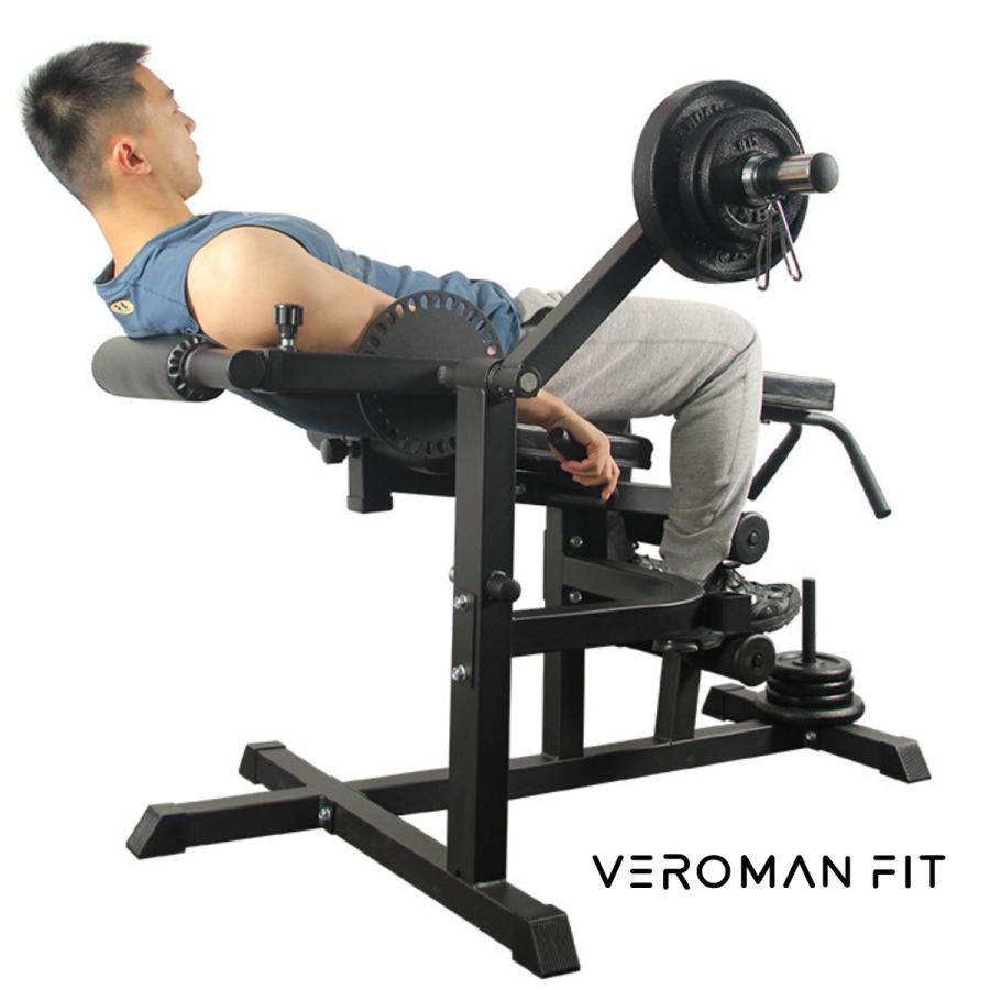 レッグエクステンション レッグカール バックエクステンション アブ