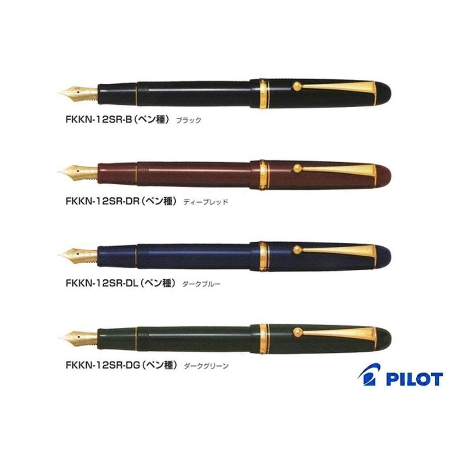 PILOT（パイロット） 【在庫品】パイロット 万年筆 カスタム74 ダーク