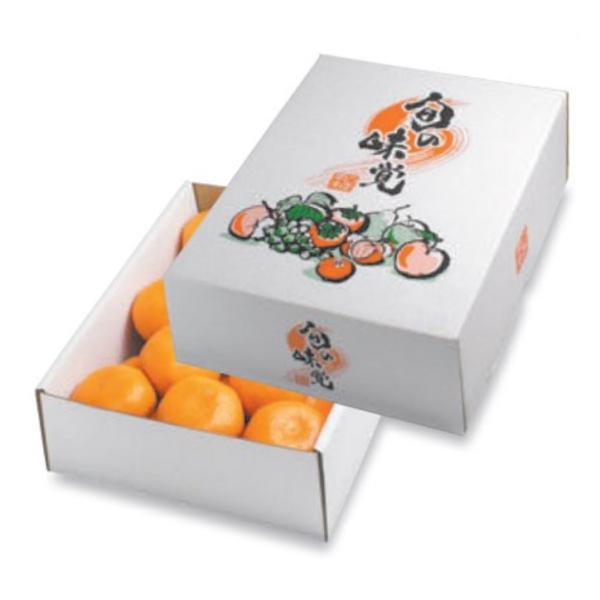 ヤマニパッケージ みかん箱 L-2267 四季の果実 小 230×300×110mm 1