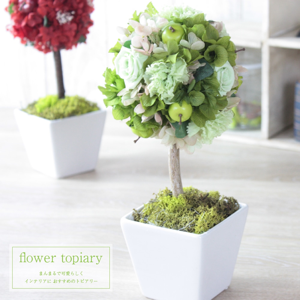 プリザーブドフラワー 『フラワートピアリー』 | お祝い全般,退職