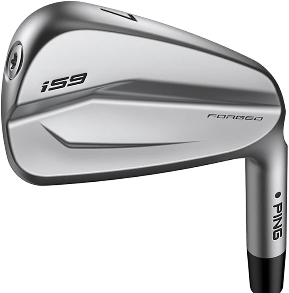 Amazon.co.jp: ピン（ピン） i59アイアンセット6本(5I～9I、PW)N.S.PRO