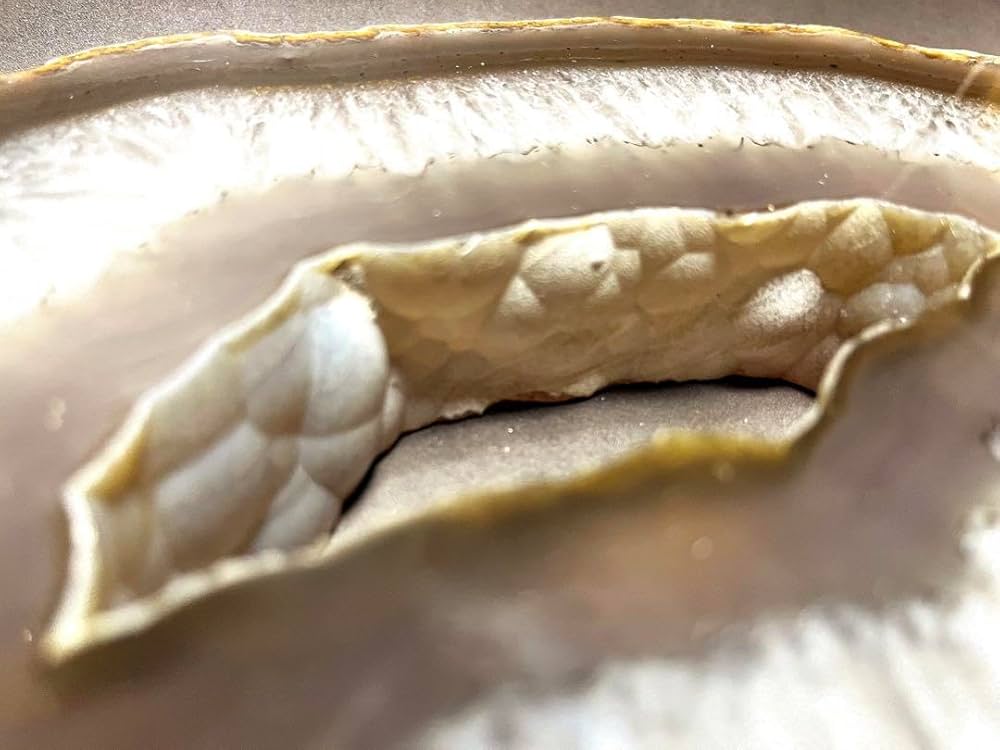 Amazon.co.jp: 瑪瑙スライス 厚切り めのうスライス 2,500g超 : 文房具