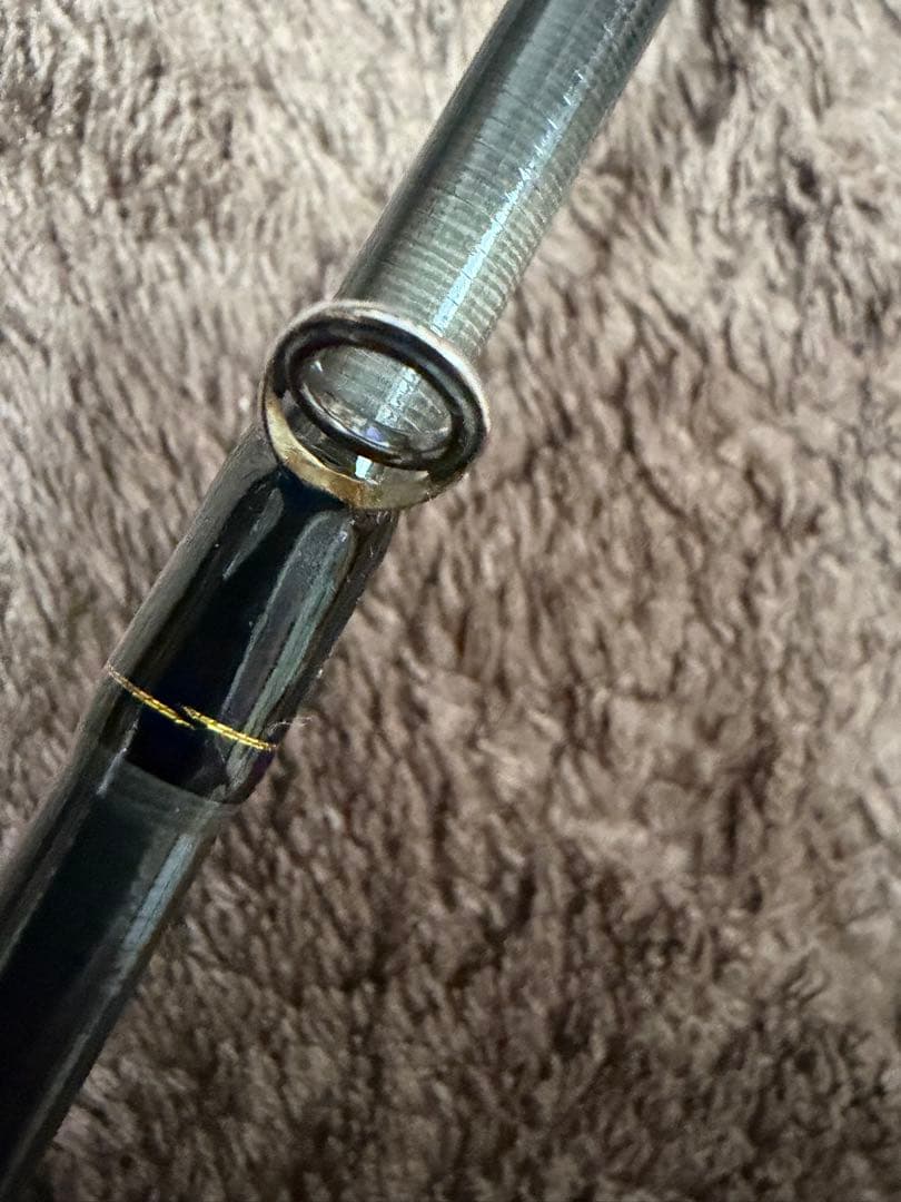 ダイワ ラテオ 100M シーバスロッド