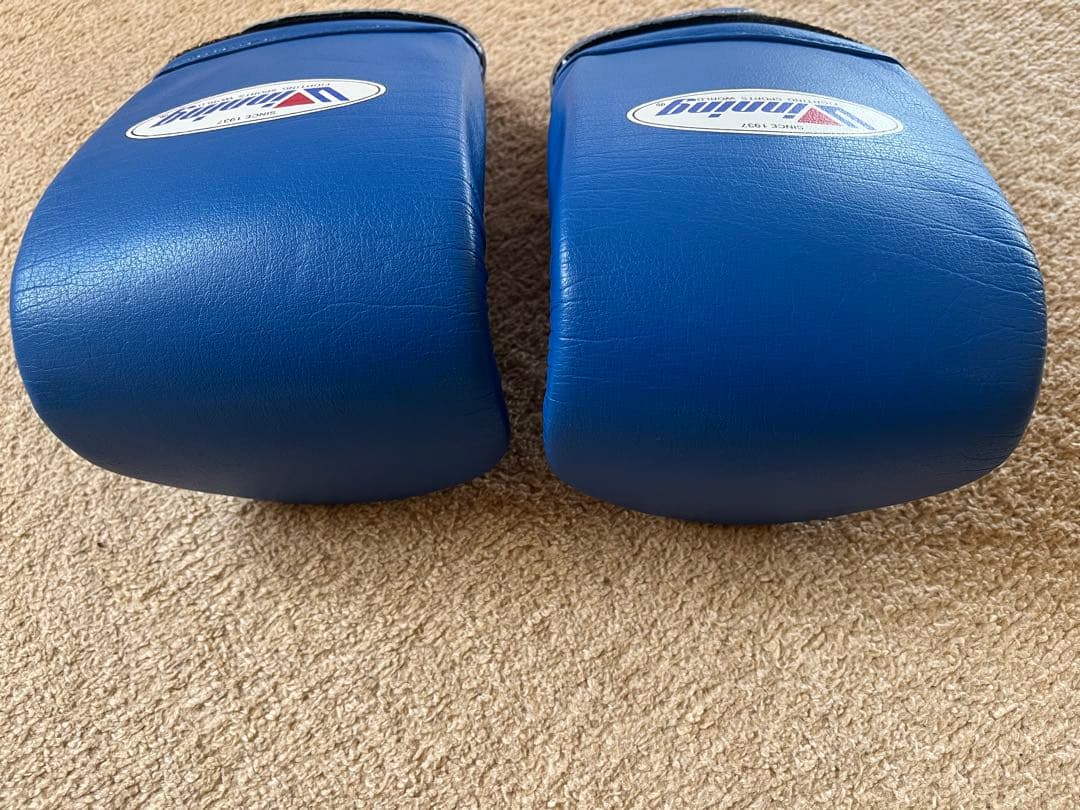 Winning ボクシンググローブ 青